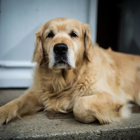 Panzió Domaine De Gaudon Ceilloux