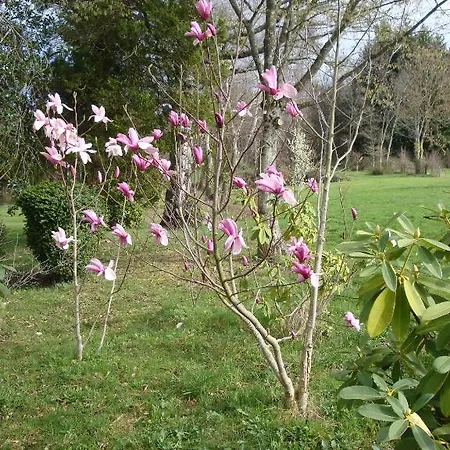 Domaine De Gaudon Panzió Ceilloux