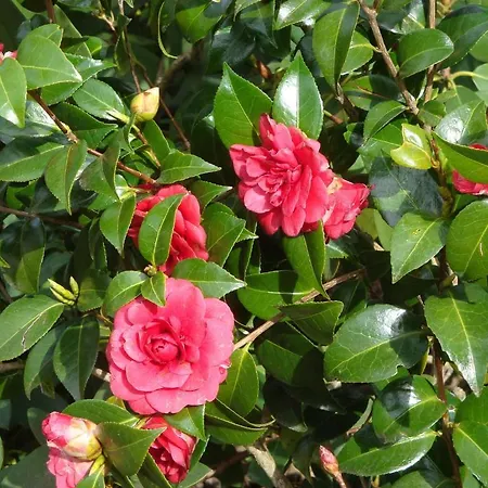 Domaine De Gaudon Panzió Ceilloux